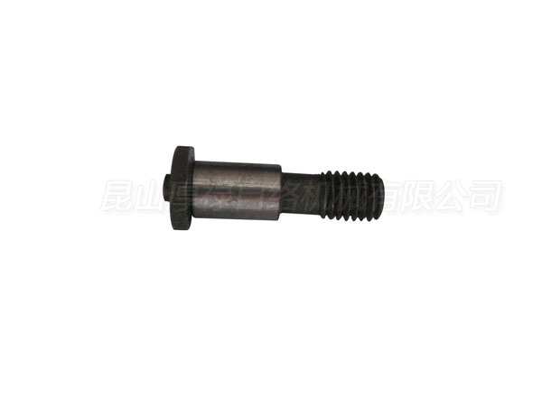16720.0172.1/0 Screw