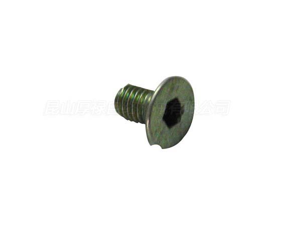 008-GS-81a SCREW