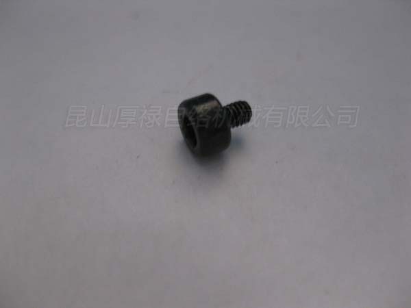 498Q-54590L-54 SCREW