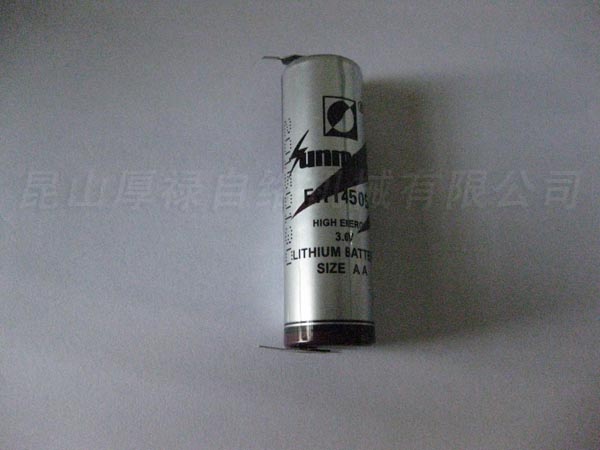 3.6 V battery with leg