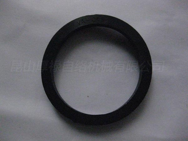 CW20000241 A v-shaped sealing ring