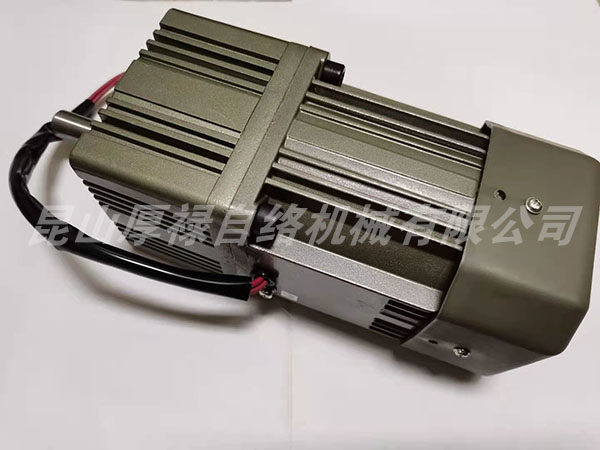 R10901000061 Motor