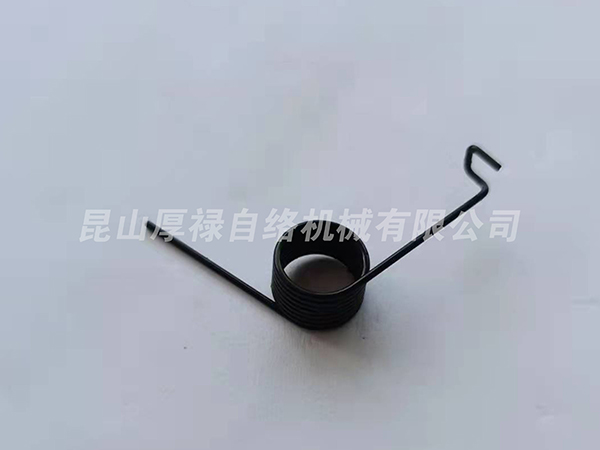 E30699410000-02 Spring