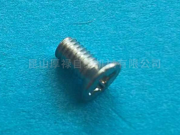 9CG-741-011a SCREW